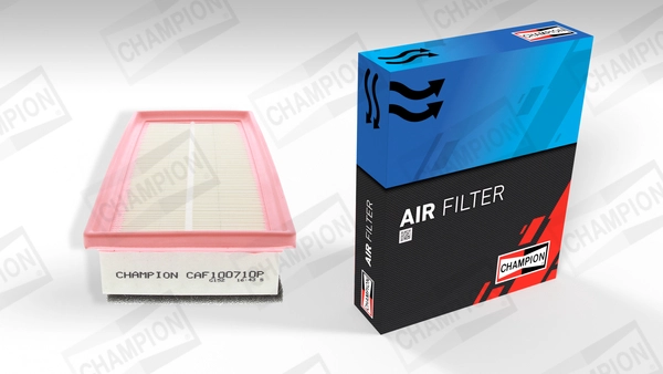 Air Filter (CAF100710P)