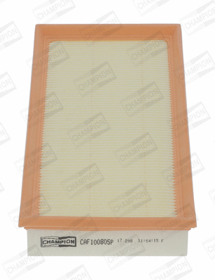 Air Filter (CAF100805P)