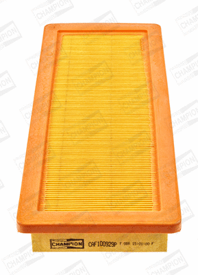 Air Filter (CAF100929P)