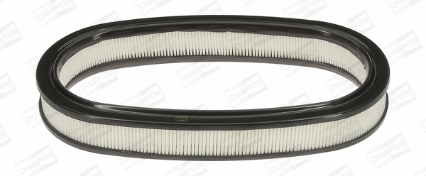 Air Filter (CAF100225R)