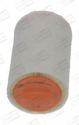 Air Filter (CAF101066R)