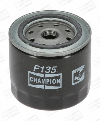 Oil Filter (COF100135S)