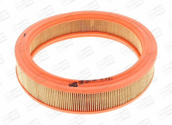 Air Filter (CAF100110R)
