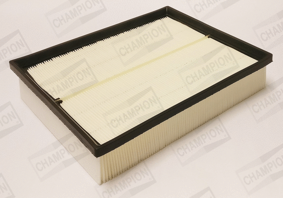 Air Filter (CAF101390P)