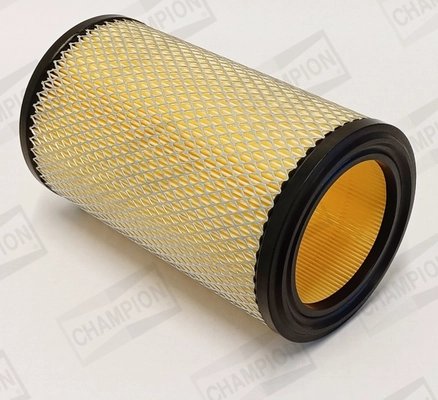 Air Filter (CAF100115R)