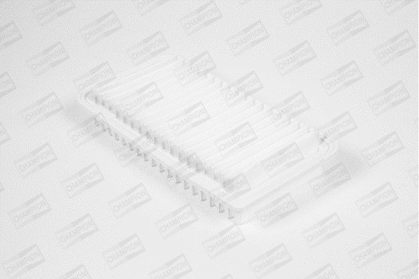 Air Filter (U813/606)