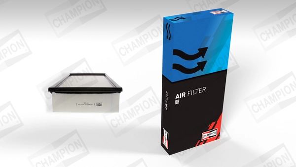 Air Filter (CAF100633P)