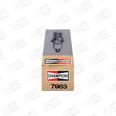 Spark Plug