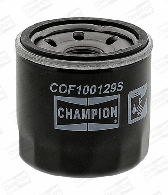 Oil Filter (COF100129S)
