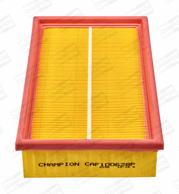 Air Filter (CAF100628P)