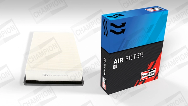 Air Filter (CAF100867P)