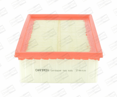 Air Filter (CAF100834P)