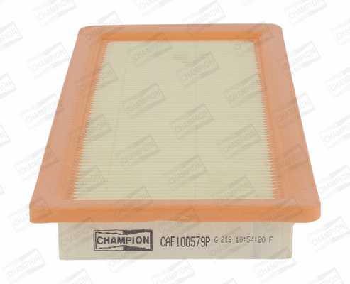 Air Filter (CAF100579P)