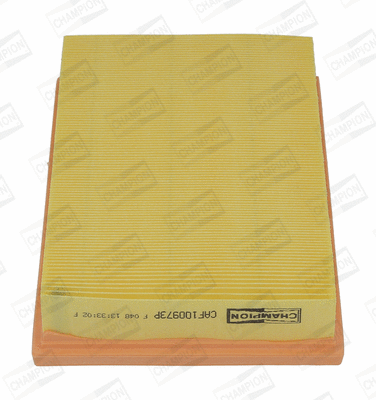 Air Filter (CAF100973P)