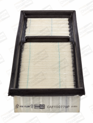 Air Filter (CAF100779P)