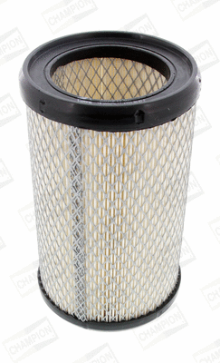 Air Filter (CAF100434C)