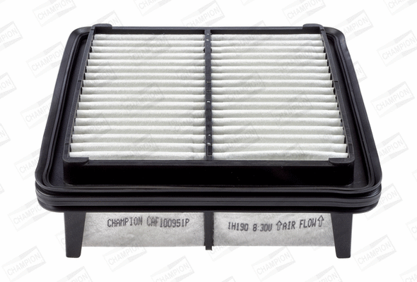 Air Filter (CAF100951P)