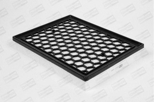 Air Filter (U838/606)