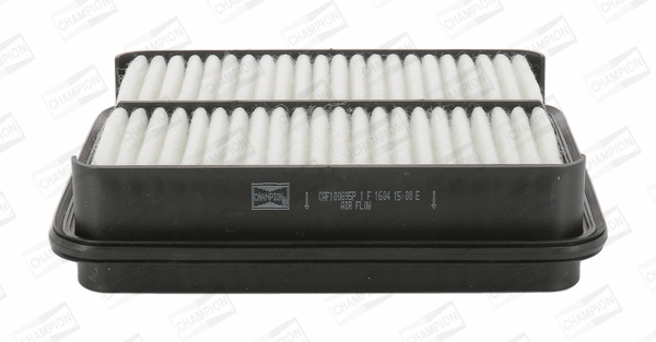 Air Filter (CAF100695P)