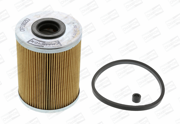 Fuel Filter (CFF100253)