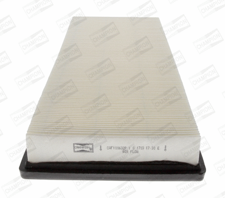 Air Filter (CAF100632P)