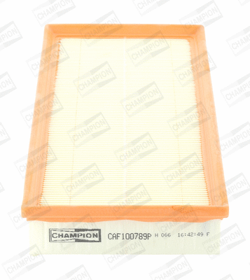 Air Filter (CAF100789P)