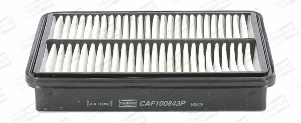 Air Filter (CAF100843P)
