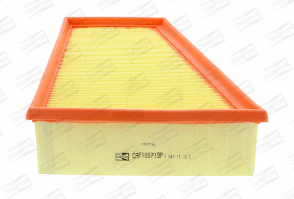 Air Filter (CAF100719P)
