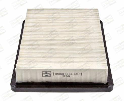 Air Filter (CAF100585P)