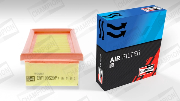 Air Filter (CAF100520P)