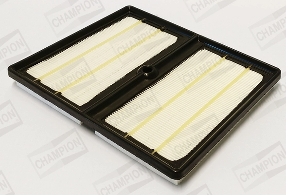 Air Filter (CAF101388P)