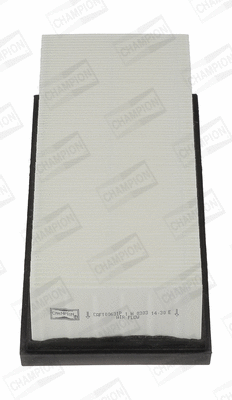 Air Filter (CAF100631P)