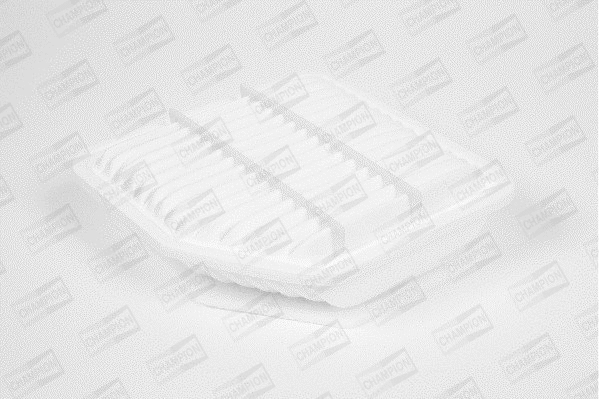 Air Filter (U874/606)