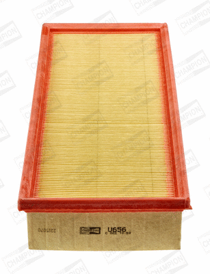 Air Filter (CAF100656P)