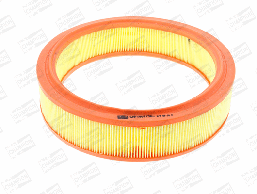 Air Filter (CAF100713R)