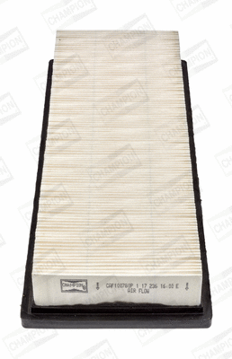 Air Filter (CAF100780P)