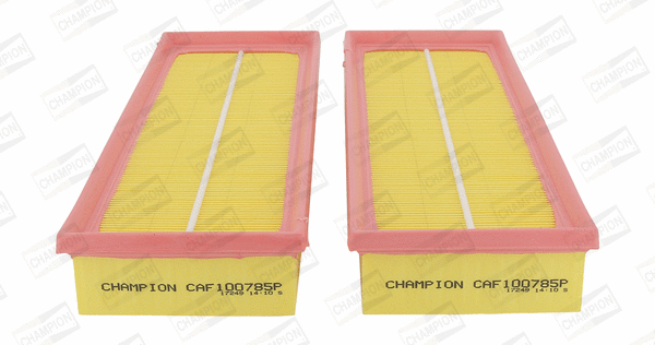 Air Filter (CAF100785P)