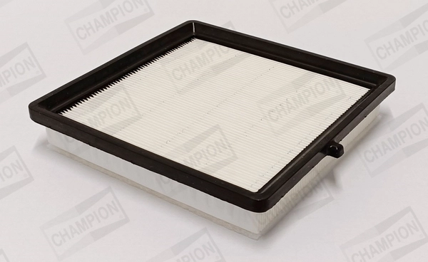 Air Filter (CAF101219P)