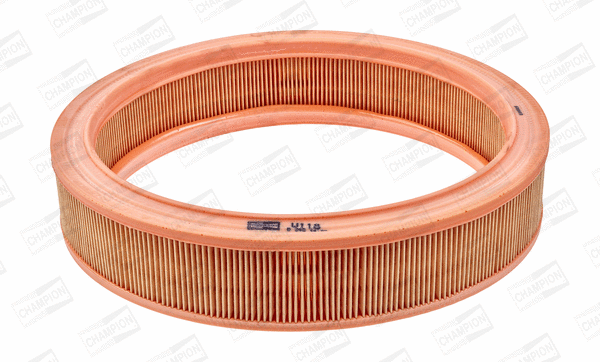 Air Filter (CAF100118R)