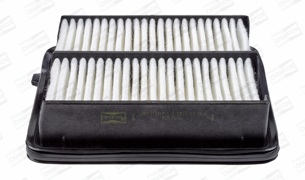 Air Filter (CAF101051P)