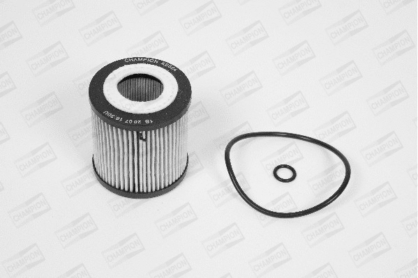 Oil Filter (XE524/606)