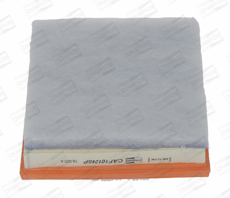 Air Filter (CAF101245P)