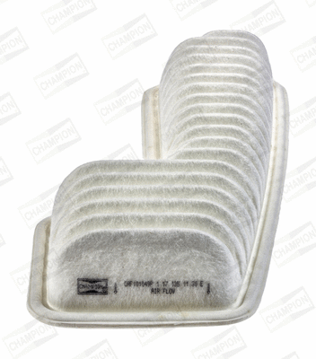 Air Filter (CAF101049P)