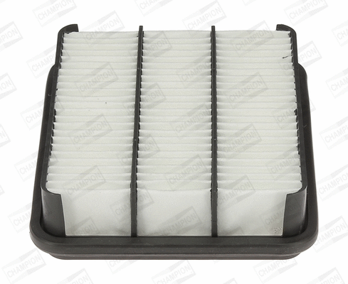Air Filter (CAF100962P)