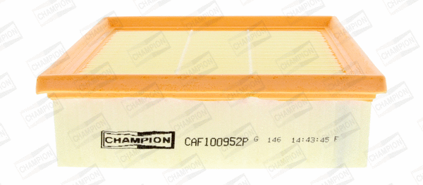 Air Filter (CAF100952P)