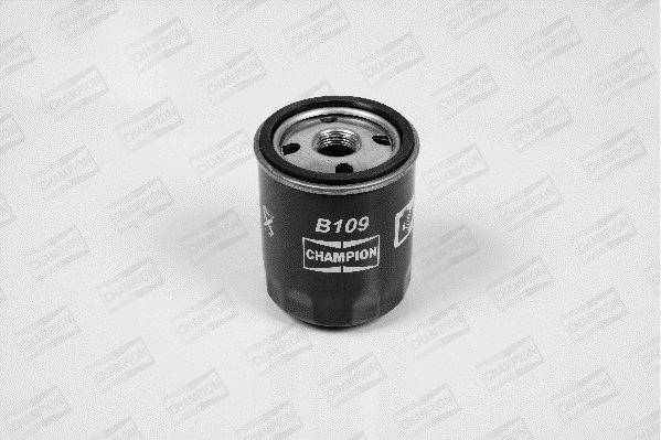 Oil Filter (B109/606)