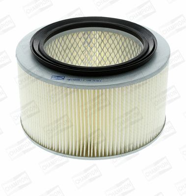 Air Filter (CAF100254R)