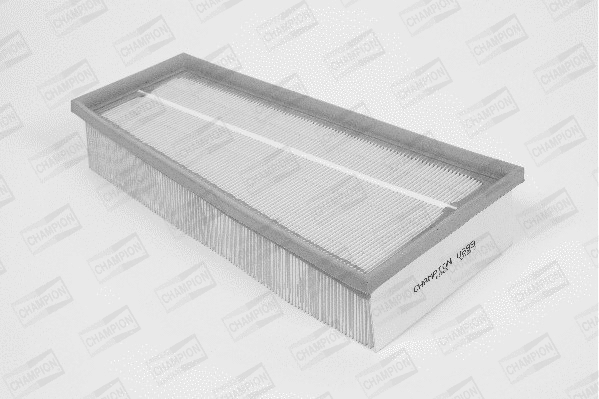 Air Filter (U699/606)