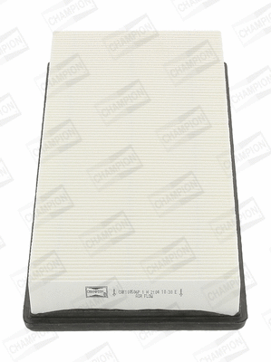 Air Filter (CAF100506P)