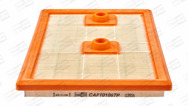 Air Filter (CAF101067P)